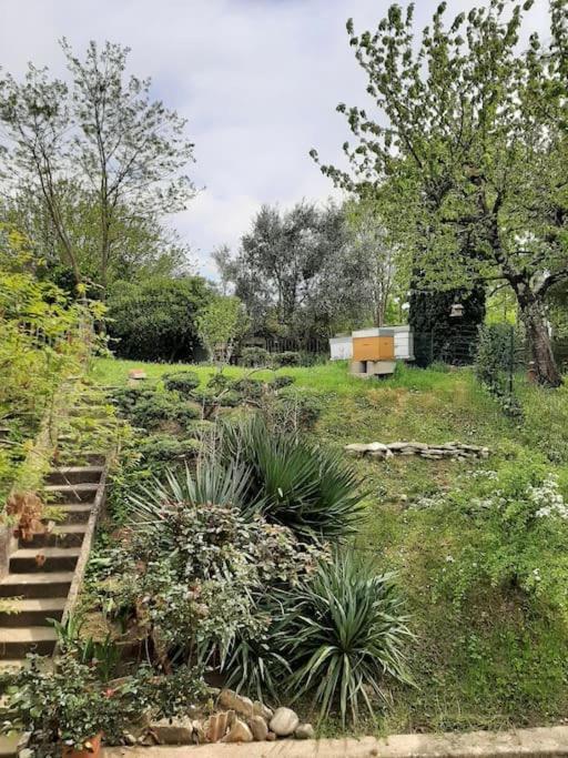 Le 16 Villa Toulouse Buitenkant foto
